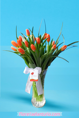 Arreglo floral para cumpleaños con tulipanes