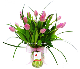 Envio de tulipanes fucsias a San Isidro Lima Peru
