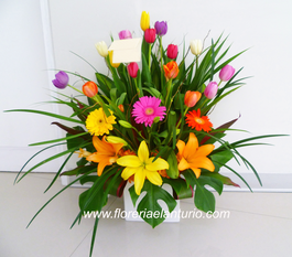 Arreglo floral con Tulipanes de colores  Nacimient