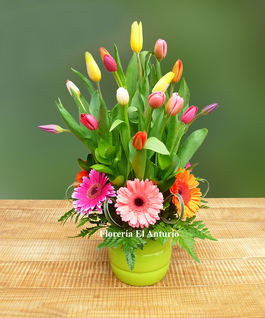 Arreglo floral con tulipanes colores gerberas lima