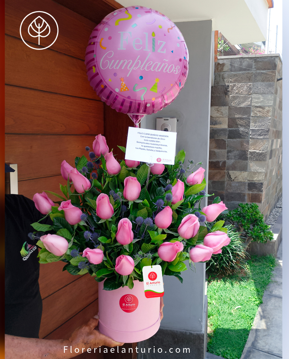 Box con 24 rosas Premium 