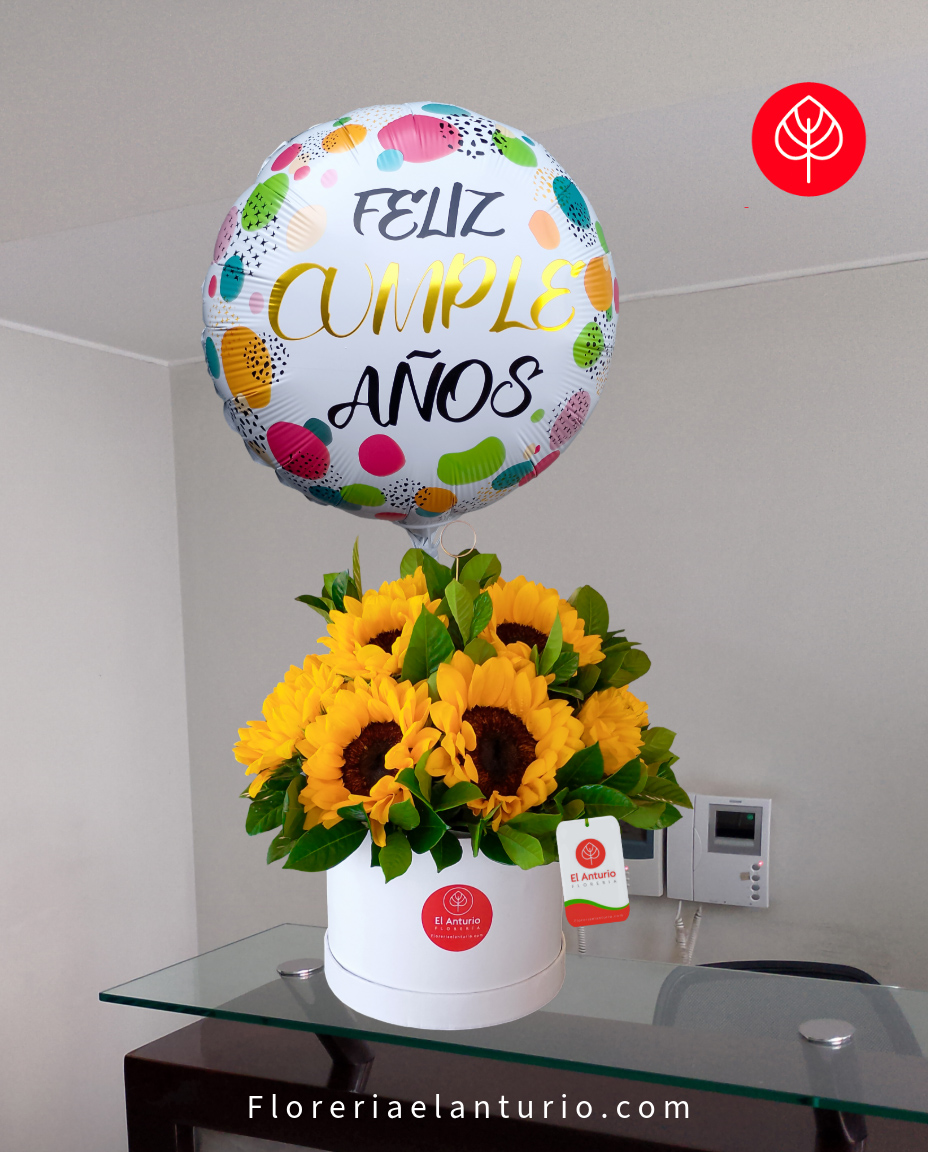 Box con Girasoles 