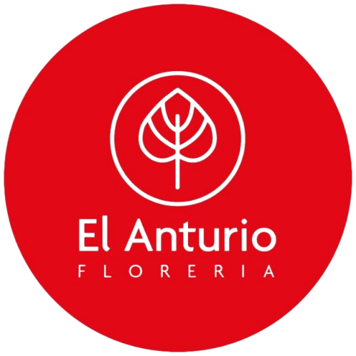 Florería El Anturio